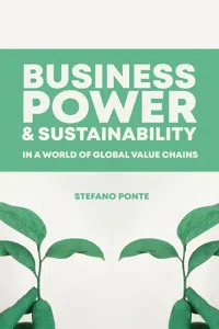 Business, Power and Sustainability in a World of Global Value Chains_cover