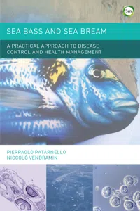 Sea Bass and Sea Bream: A Practical Approach to Disease Control and Health Management_cover