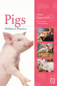 Pigs Welfare in Practice_cover