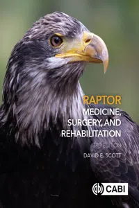 Raptor Medicine, Surgery, and Rehabilitation_cover