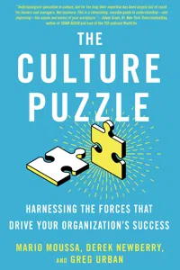 The Culture Puzzle_cover