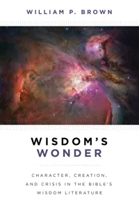 Wisdom's Wonder_cover