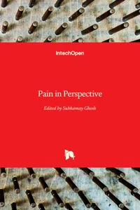 Pain in Perspective_cover