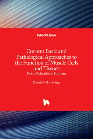 Current Basic and Pathological Approaches to the Function of Muscle Cells and Tissues