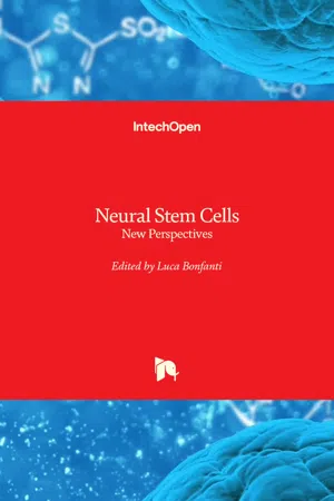 Neural Stem Cells