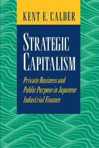 Strategic Capitalism_cover