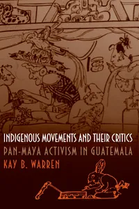 Indigenous Movements and Their Critics_cover