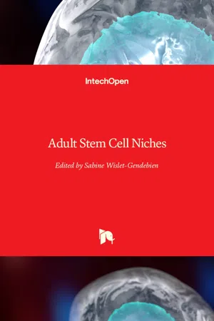 Adult Stem Cell Niches