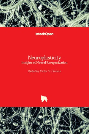 Neuroplasticity