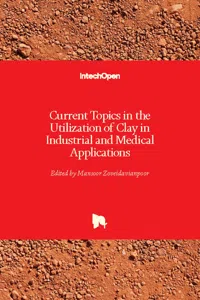 Current Topics in the Utilization of Clay in Industrial and Medical Applications_cover