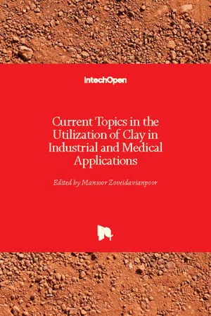 Current Topics in the Utilization of Clay in Industrial and Medical Applications