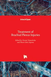 Treatment of Brachial Plexus Injuries_cover