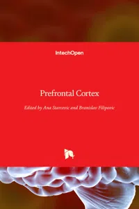 Prefrontal Cortex_cover