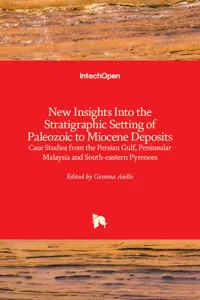 New Insights into the Stratigraphic Setting of Paleozoic to Miocene Deposits_cover