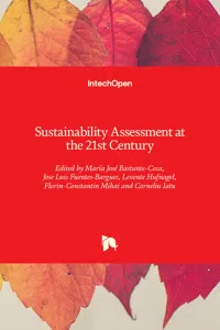 Sustainability Assessment at the 21st century_cover