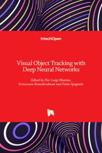 Visual Object Tracking with Deep Neural Networks_cover