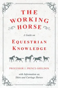 The Working Horse - A Guide on Equestrian Knowledge with Information on Shire and Carriage Horses_cover