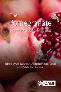 Pomegranate, The_cover