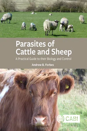 Parasites of Cattle and Sheep