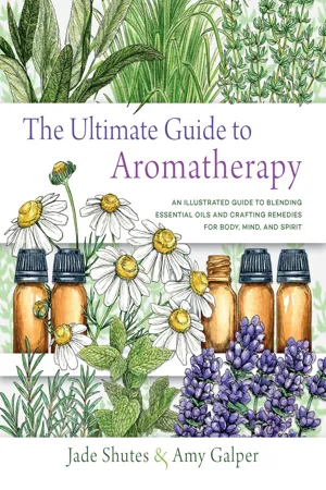 The Ultimate Guide to Aromatherapy