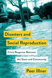 Disasters and Social Reproduction_cover