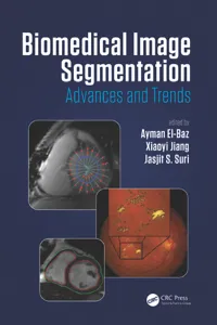 Biomedical Image Segmentation_cover