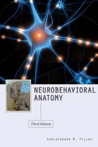 Neurobehavioral Anatomy, Third Edition_cover