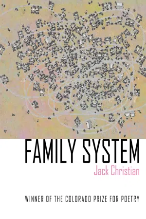 Family System