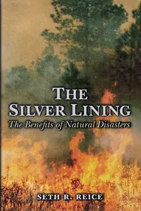 The Silver Lining_cover