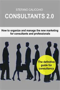 Consultants 2.0_cover