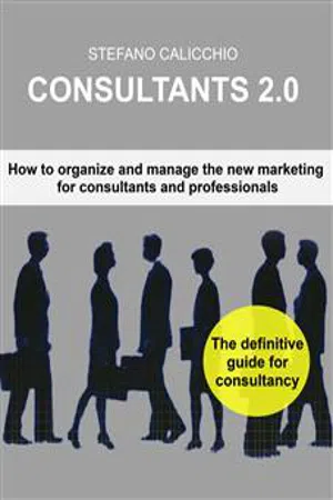 Consultants 2.0