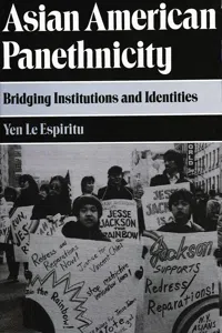 Asian American Panethnicity_cover