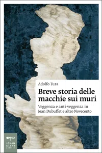 Breve storia delle macchie sui muri_cover