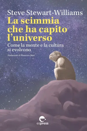 La scimmia che ha capito l'universo