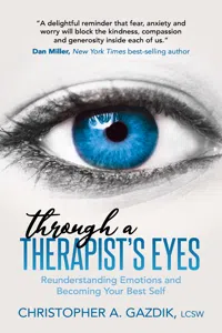 Through a Therapist's Eyes_cover