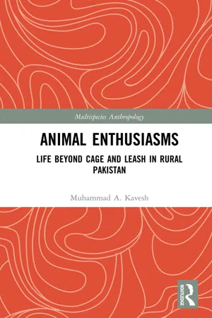 Animal Enthusiasms