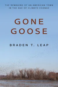 Gone Goose_cover