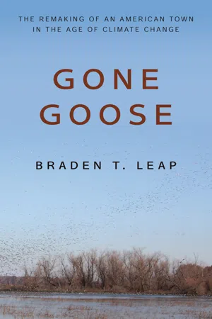 Gone Goose