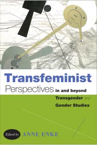 Transfeminist Perspectives in and beyond Transgender and Gender Studies_cover