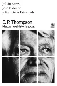 E. P. Thompson_cover