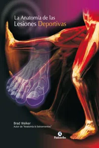 La anatomía de las lesiones deportivas_cover