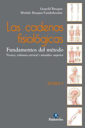 Las cadenas fisiológicas (Tomo I)