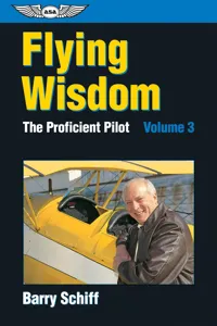 Flying Wisdom_cover