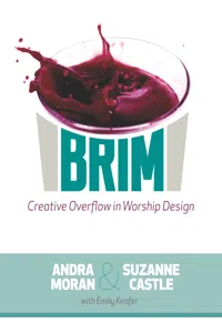 Brim_cover