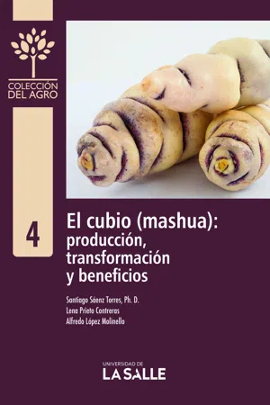 El cubio (mashua)