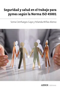 Seguridad y salud en el trabajo para pymes según la Norma ISO 45001_cover