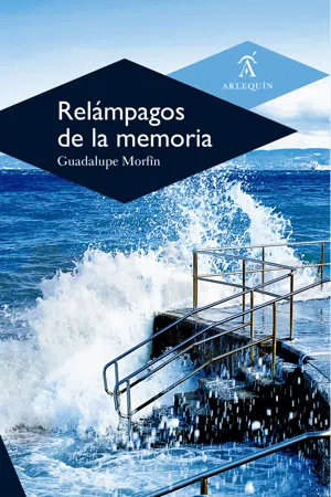 Relámpagos de la memoria