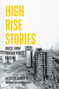 High Rise Stories_cover