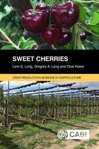 Sweet Cherries_cover