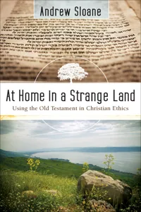 At Home in a Strange Land_cover